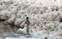 Water Foam Wave