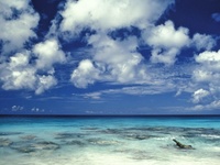 Caribbean Sea, Bonaire, Netherland Antilles