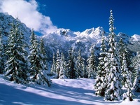 Alpine Lakes Wilderness, Washington, USA