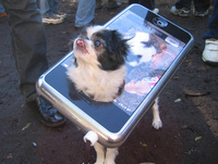 iPhone dog leash