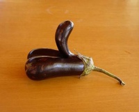 Penis Eggplant