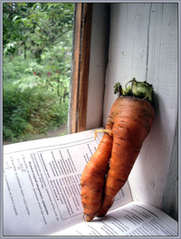 Human Carrot