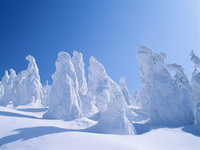 Snowman Trees