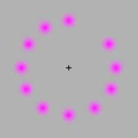 magenta-circle_illusion