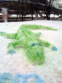 Snow Crocodile!