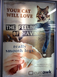 2012 - Euroawk - Your cat will love the feeling of having really smooth legs