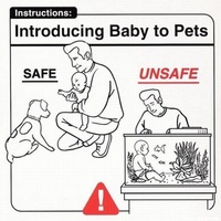 Introducing Baby to Pets