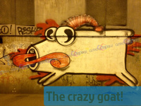 The crazy goat!