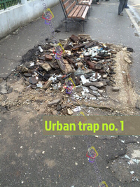 Urban trap no. 1