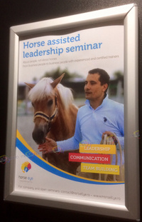 2017 - Horse Eye - Horse Assisted Leadership