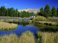Beaver Ponds, Sun Valley, Idaho